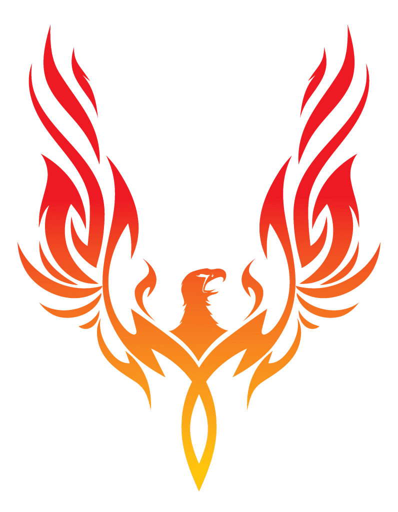 Post-Bankruptcy a Phoenix Shall Arise