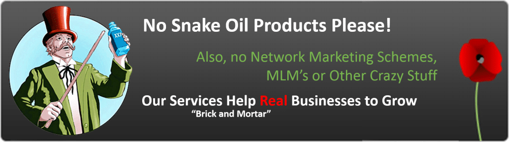 No Snake Oil Products for Holistic Web Presence