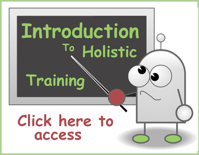 Access Holistic Training Introduction Page