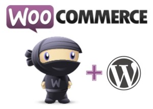 WOOCOMMERCE ecommerce is becoming a big deal for us